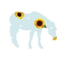 Meet your Posher, Alanna